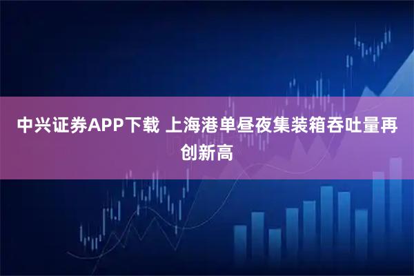 中兴证券APP下载 上海港单昼夜集装箱吞吐量再创新高